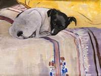 Black and White Puppy Lying on a Bed