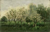 Apple Trees in Blossom