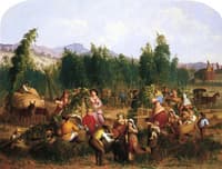 Hop Picking