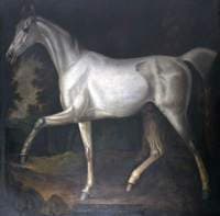 Grey Bisten, Property of Sir John William De la Pole