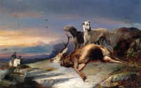 Deer Stalking