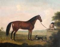 A Brown Horse, a Spaniel and a Groom
