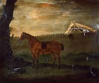 Portrait of a Hunter Tied to a Tree