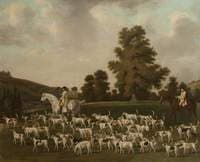 Peter Beckford's Hounds