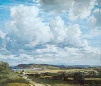 Cloud Shadows