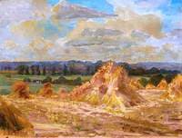 Cornfield in Constable's Country