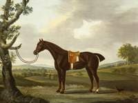 A Hunter with a Dog by a Tree
