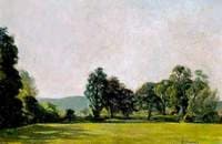 Summer Landscape