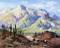 On the Cactus Trail