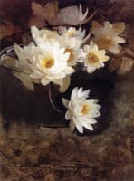 Water Lilies
