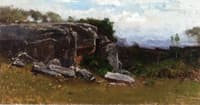 Barney's Joy Cliff