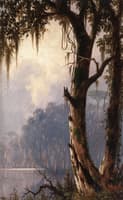Louisiana Landscape