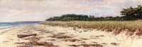 Coastal Scene