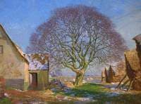 Morning in January