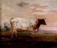 'Juno'