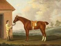 A Bay Hunter and a Groom