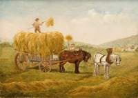 Haymaking