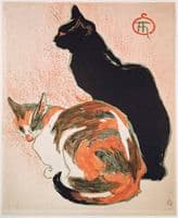 Two Cats