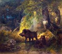 Wild Boars and a Wolf