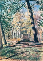 In the Shade of the Pine Trees