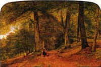 A Beech Wood