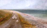 Stray Sheep