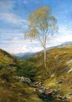 The Fairy of the Glen