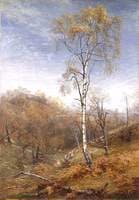 The Lady of the Woods