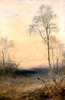 Winter Scene