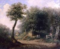 Wooded Landscape