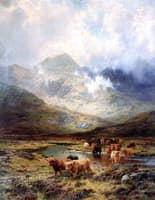 Highland Cattle
