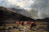 In Glen Cannich, Invernesshire