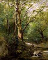 The Old Tree in the Glen – June