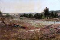 Fir Faggots: A Hampshire Landscape