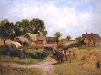 Harvest Scene