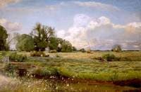 Meadow Sweets