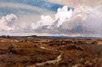 Moorland Scene