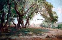 Shady Pastures