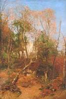 Springtime in the Woods