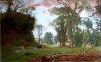 Woodland Landscape