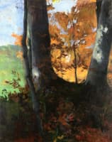 Beeches at the Edge of the Forest