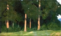 At the Edge of the Forest