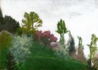 Grove near Kuessnacht