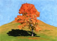 Cherry Tree