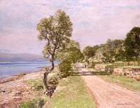Summer Green, Loch Fyne Side