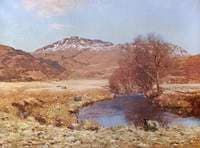Winter Sunshine, Lochgoilhead