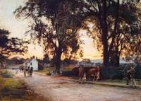 A Summer's Evening