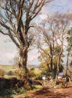 Ash Trees in Spring