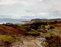 Coastal Scene