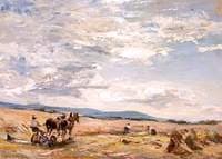 Harvest in Arran